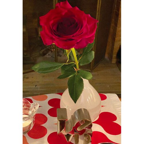 valentines-day-rose-bud-vase