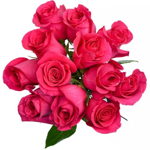 pink-floyd-roses