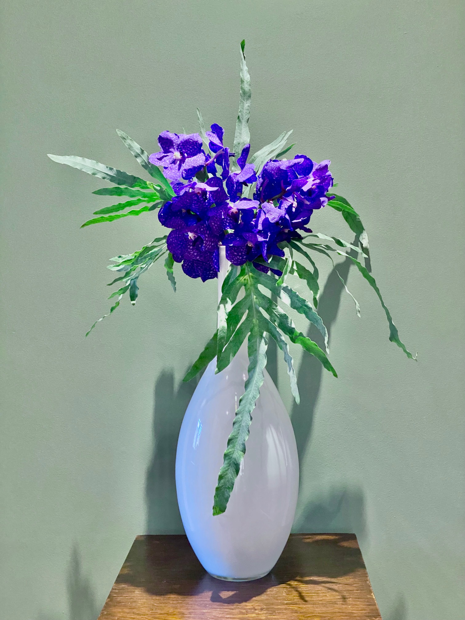 orchid-in-white-vase