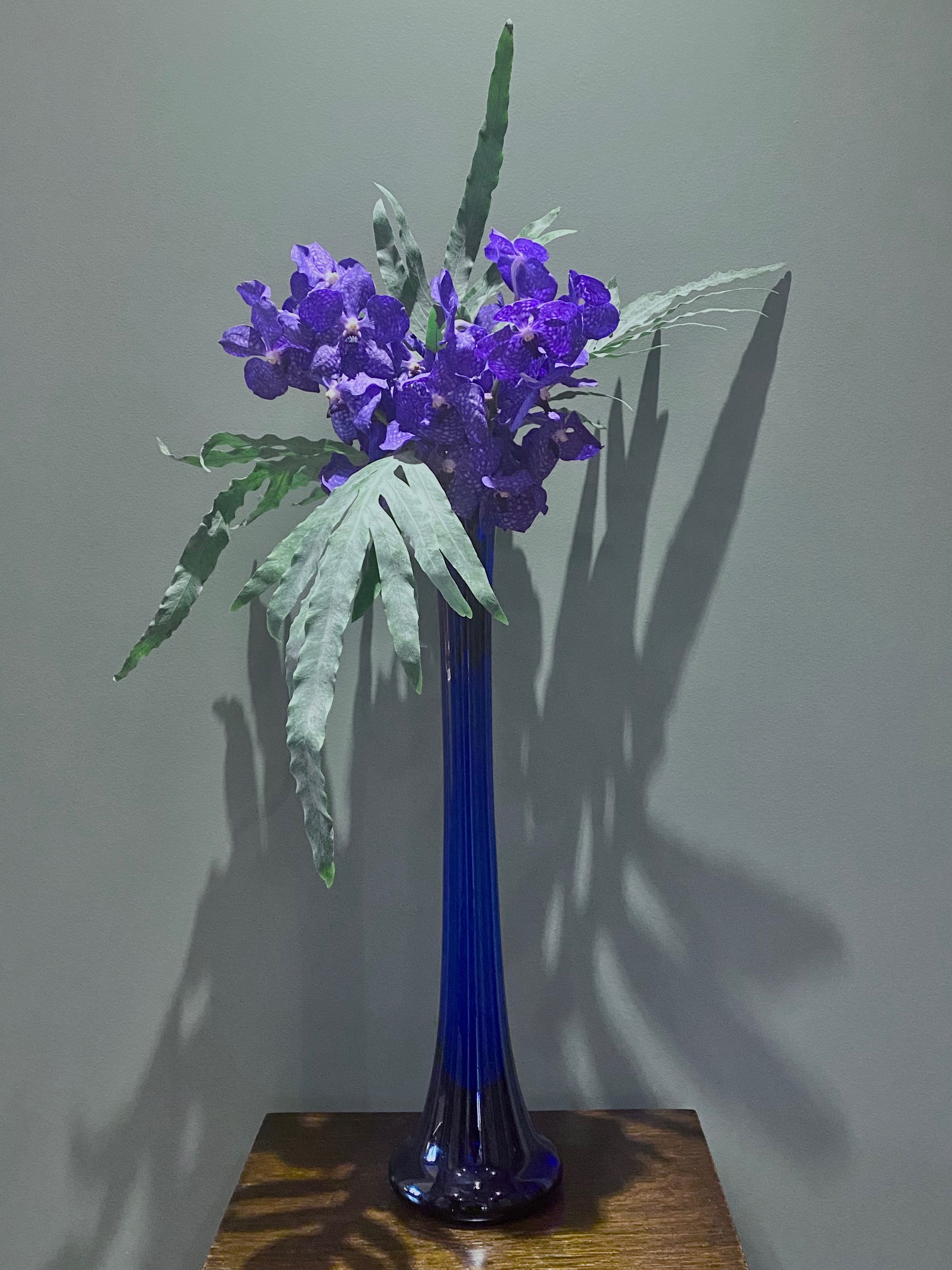orchids-in-tall-vase