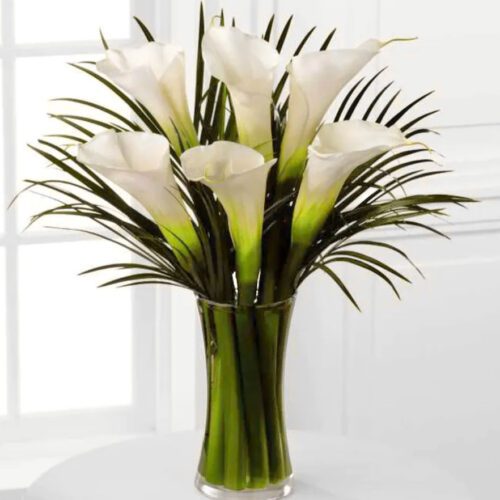 large-white-calla-lilies
