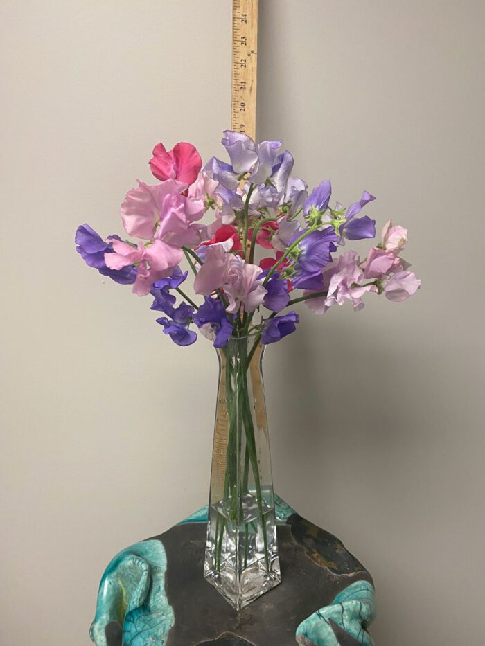 mothers-day-flowers-ct