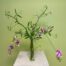 sweet-pea-flowers-in-vase