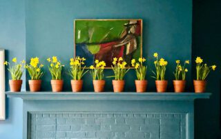 Daffodils in pots on fireplace mantle. Floral design on fireplace.