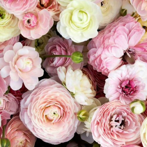 mixed-flowers